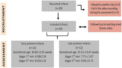 Late preterm and very preterm infants differ in the acquisition time and quantity of reaches with grasping at reaching onset: an exploratory study